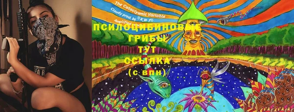 apvp Баксан