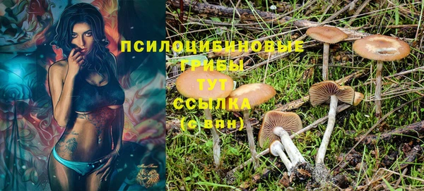 apvp Баксан