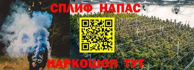 гидра Кимры